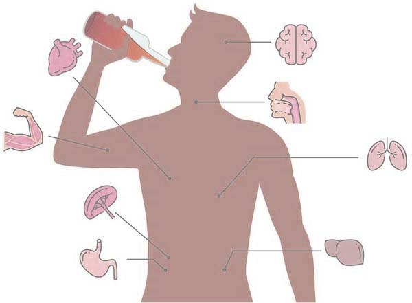 Какие болезни вызывает алкоголь